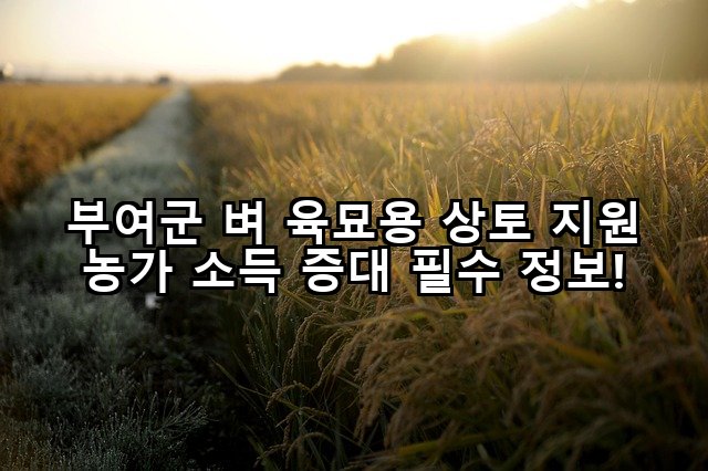 부여군 벼 육묘용 상토 지원 농가 소득 증대 필수 정보!